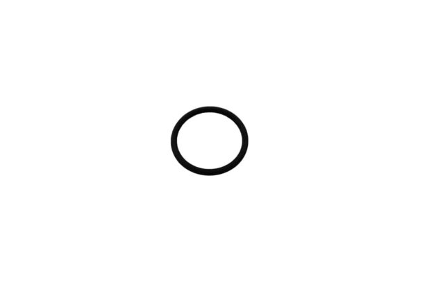 Spray Tank Filter Rubber Ring