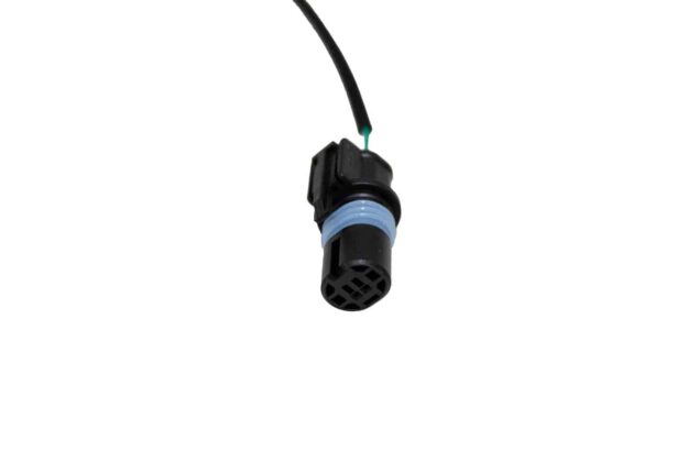 BC.AG.SS000645.01 - Image 2