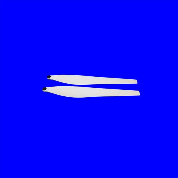 YC.JG.ZS005016