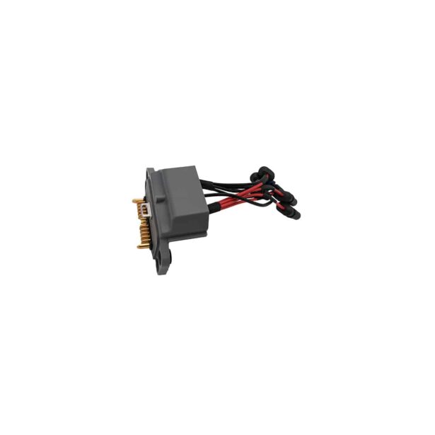 BC.AG.SS000695 - Image 2