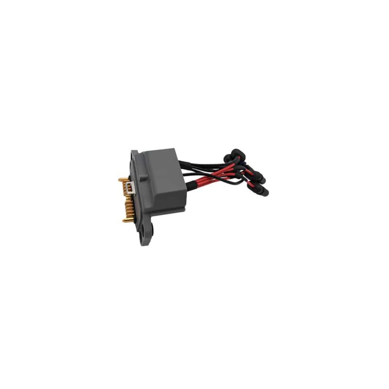 BC.AG.SS000695 - Image 2